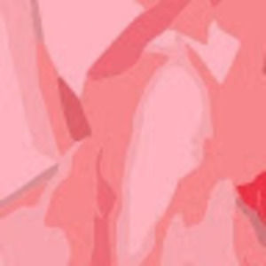 Meet your Posher, Liliana